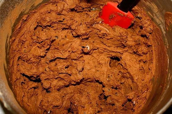 Chocolate chip cookie dough recipes