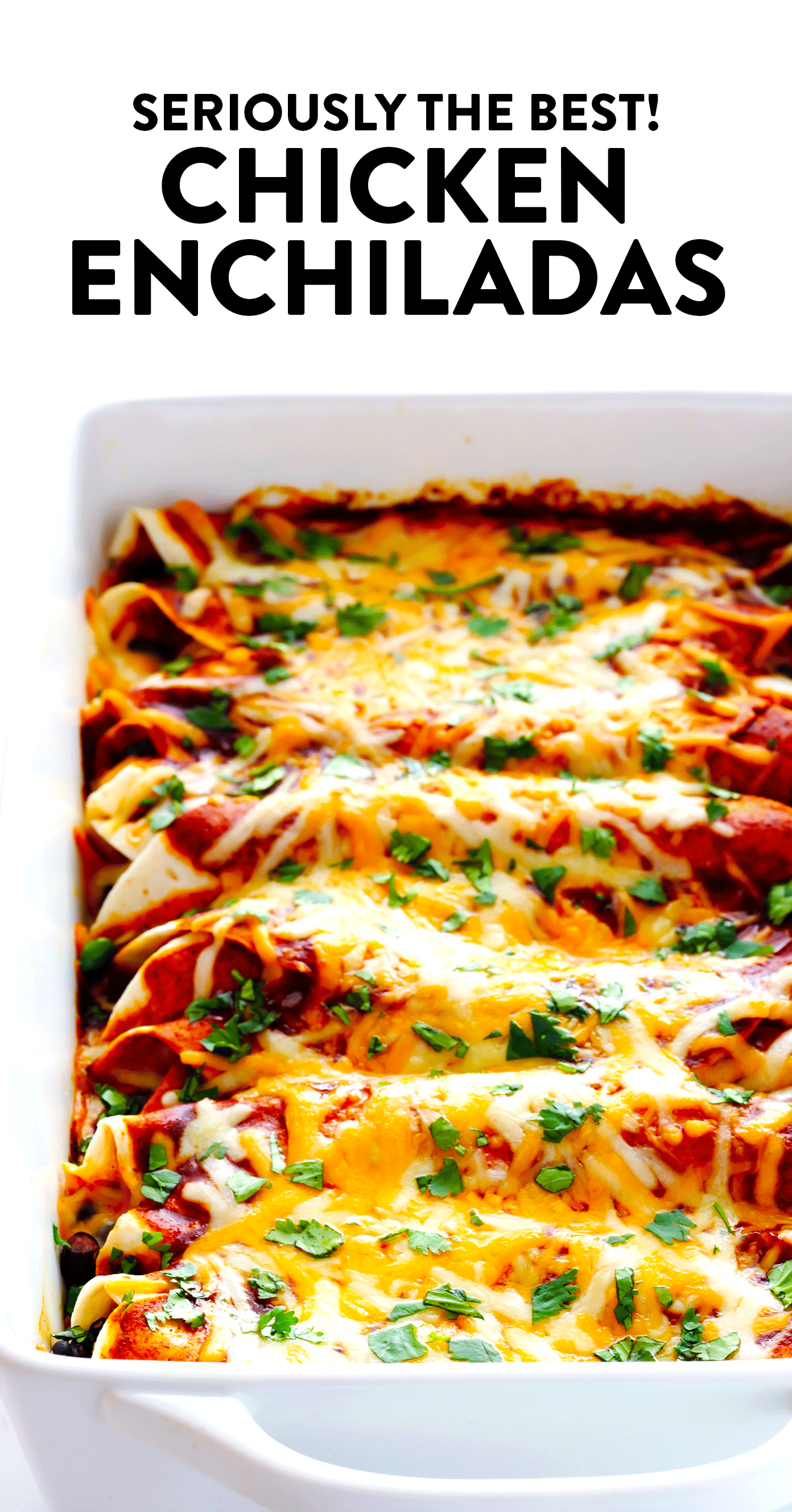 Featured image of post Recipe of Chicken Enchilada Recipes With Red Sauce