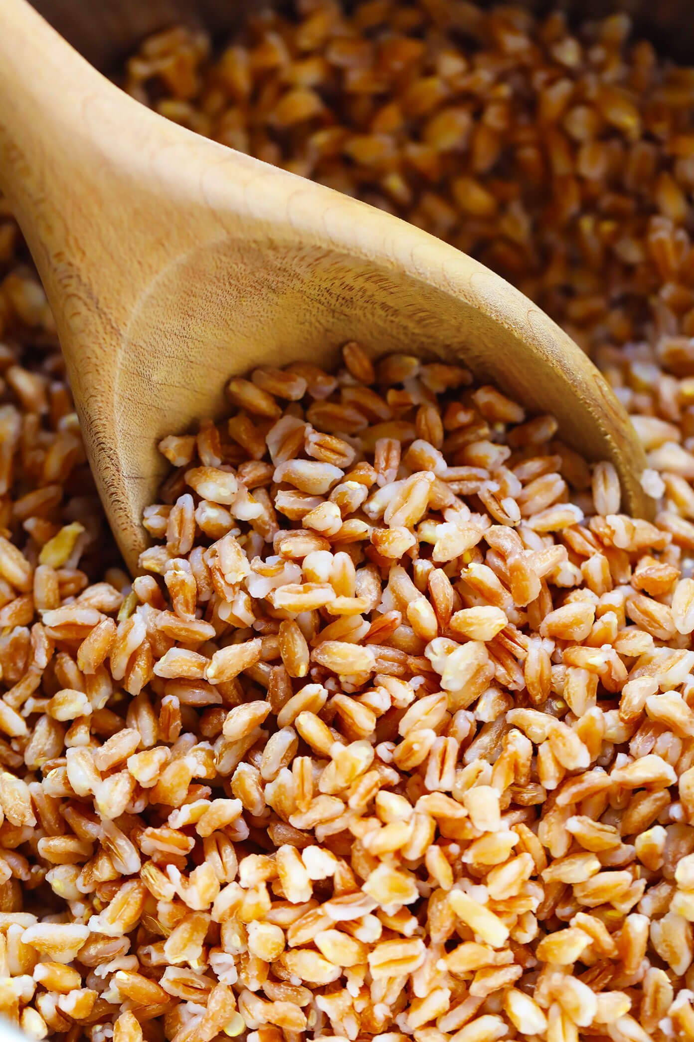 How To Cook Farro Recipe And Tips Gimme Some Oven