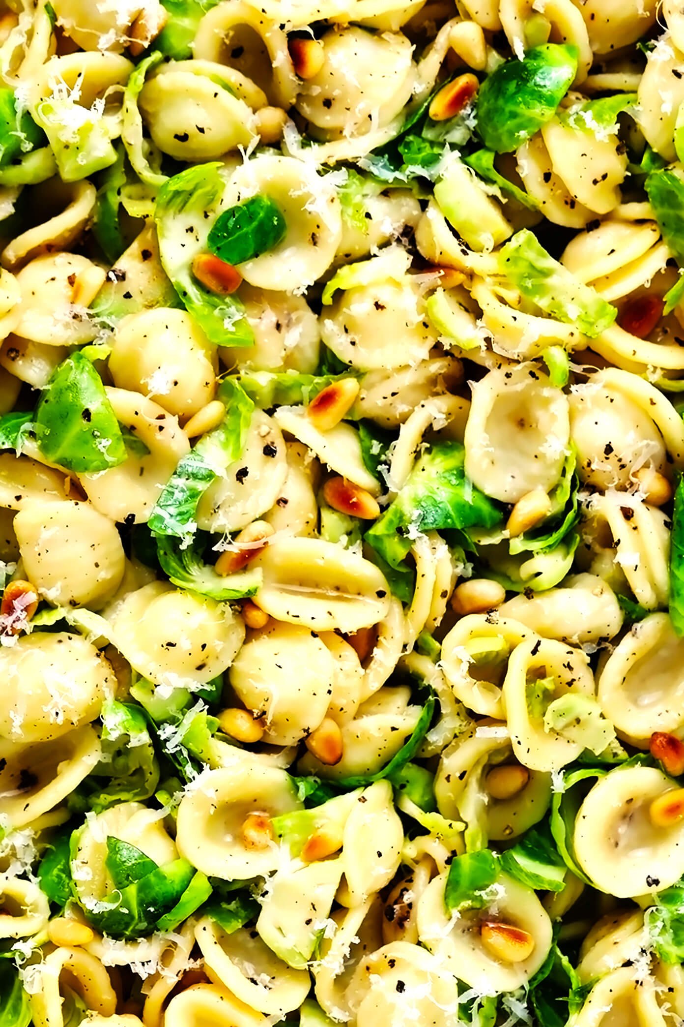 Brussels Sprouts Pasta with Pine Nuts Closeup