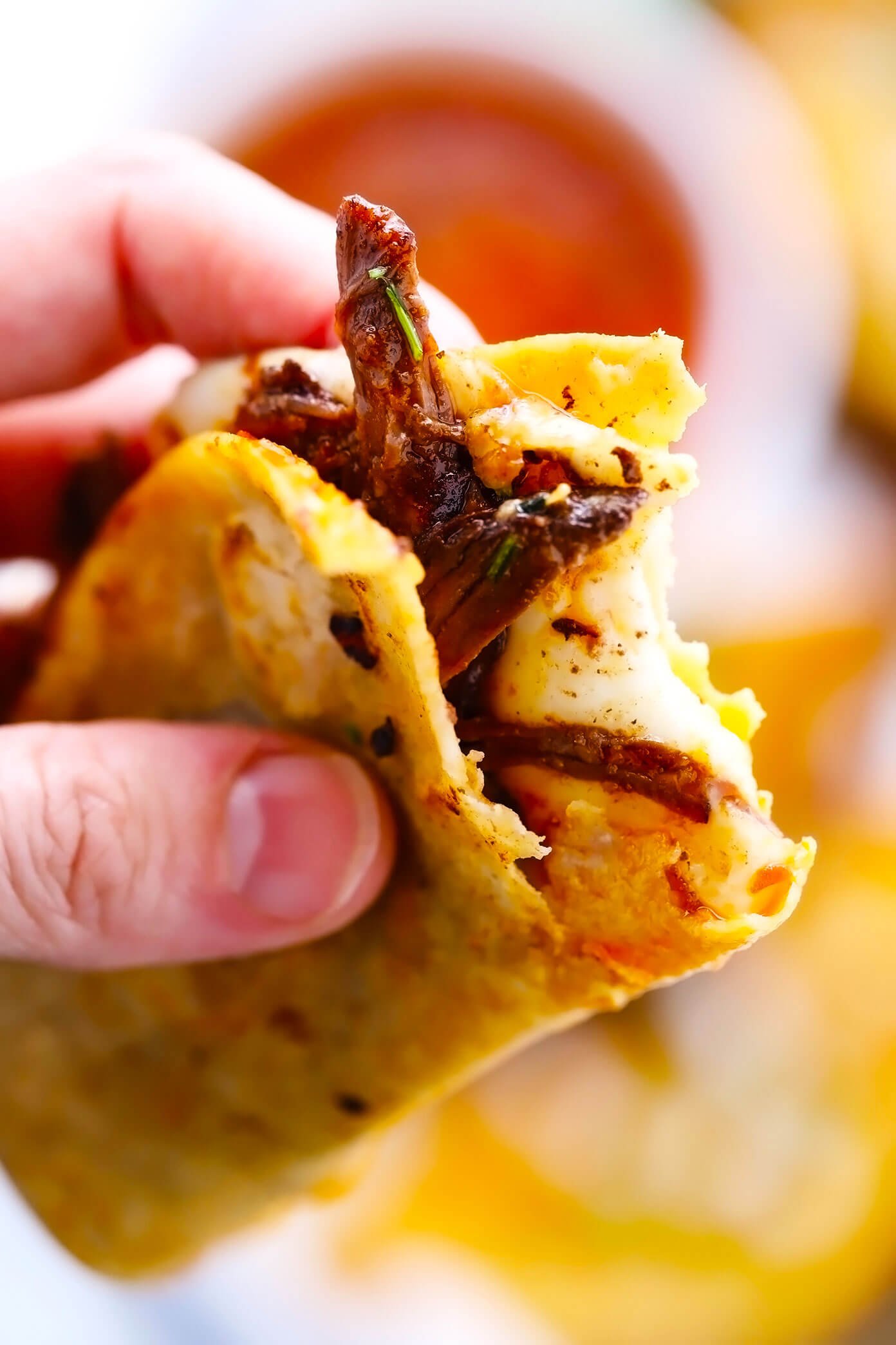 Tacos de Birria Closeup