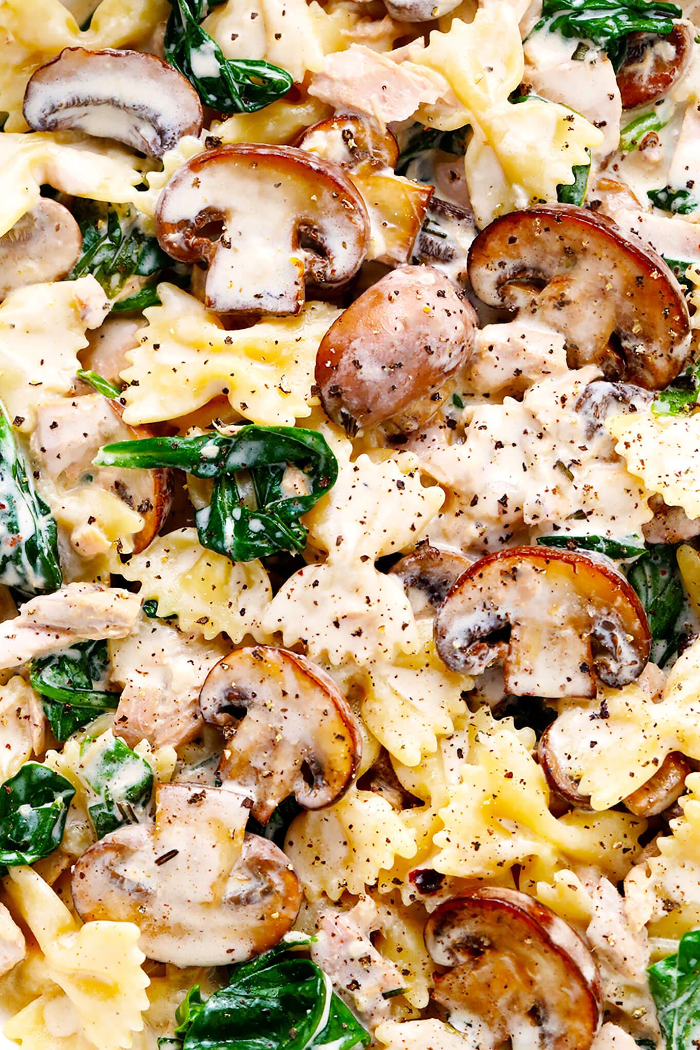 Creamy Mushroom Tuna Pasta Recipe Closeup