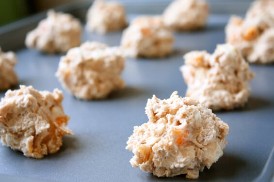 oatmeal-apricot-wc-cookie-dough