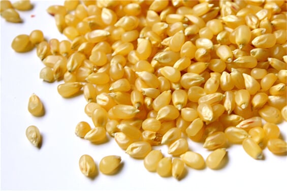 popcorn-kernels
