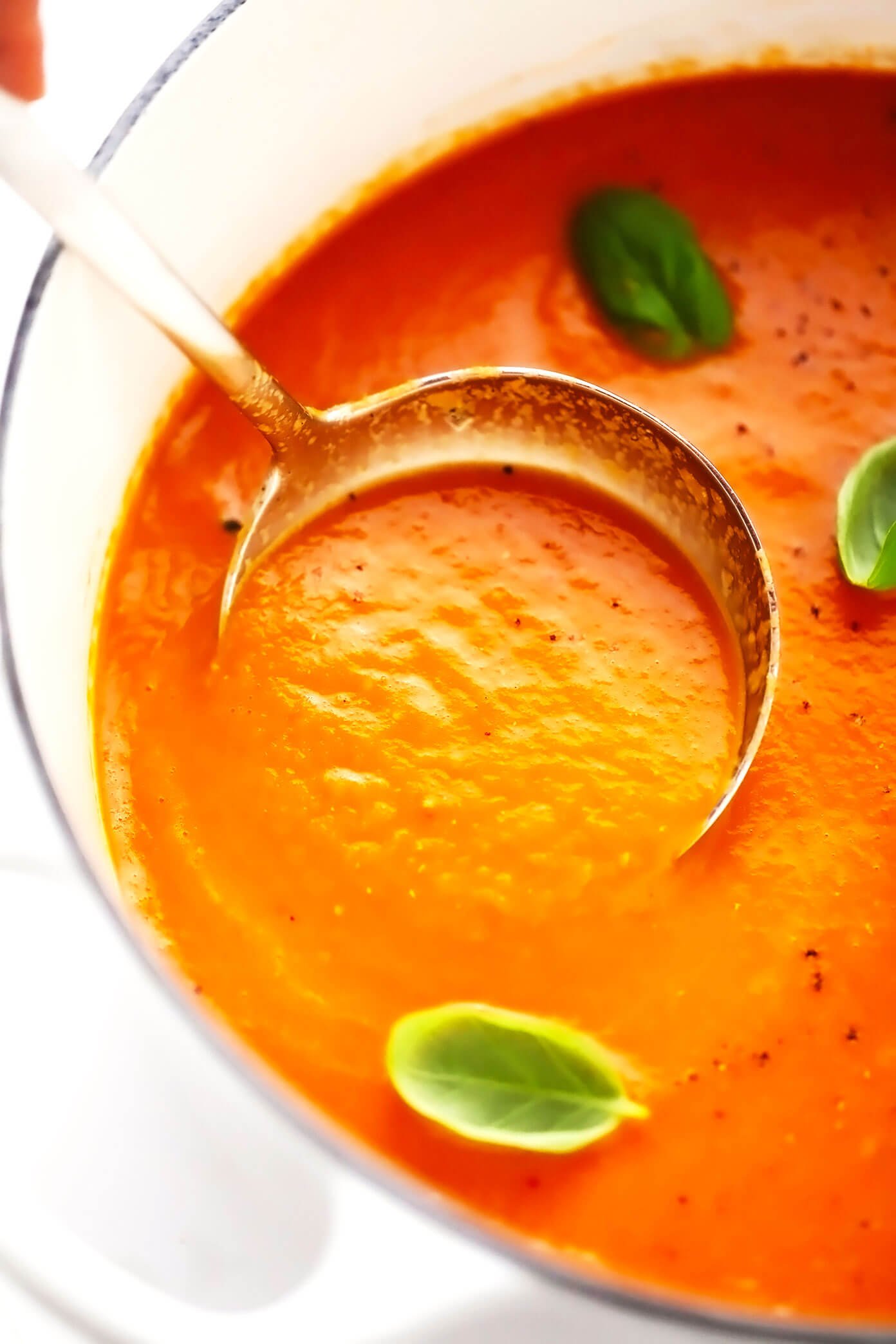 Homemade tomato soup in stockpot