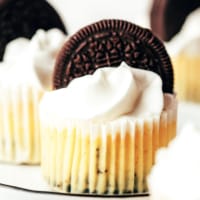 Mini Oreo Cheesecakes