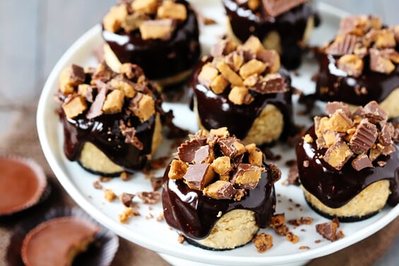 Reece's Peanut Butter Chocolate Mini Cheesecakes | Gimme Some Oven