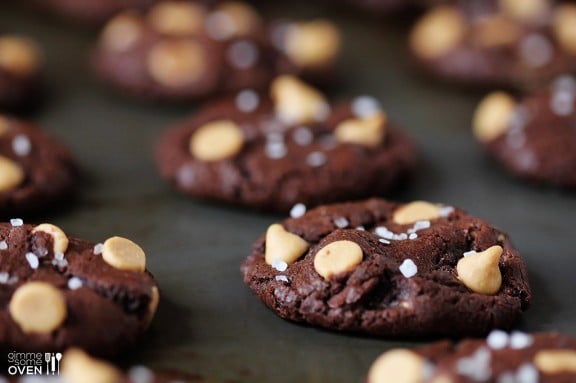 salted dark chocolate peanut butter cookies {great food blogger cookie swap}