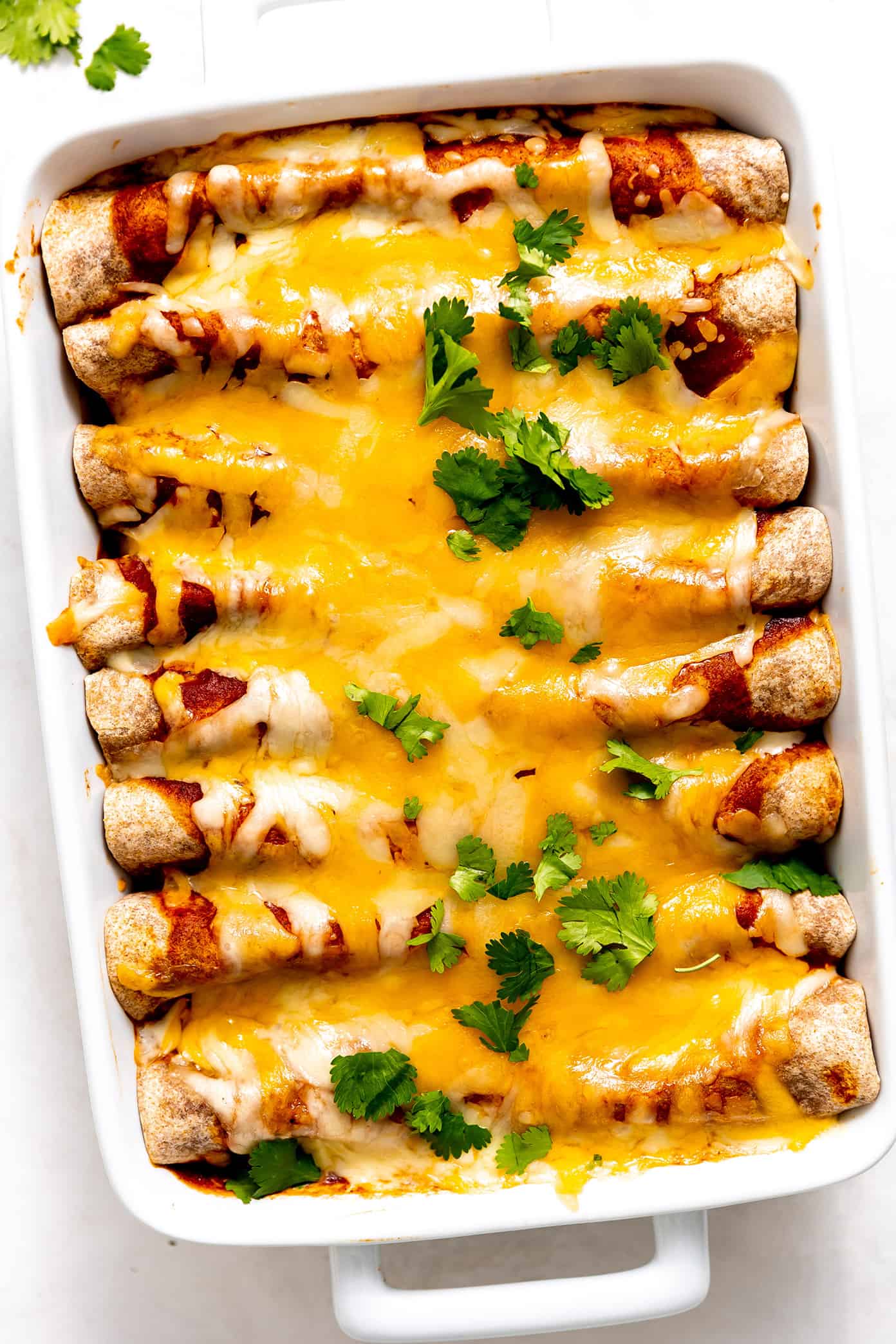 Roasted Vegetable Enchiladas