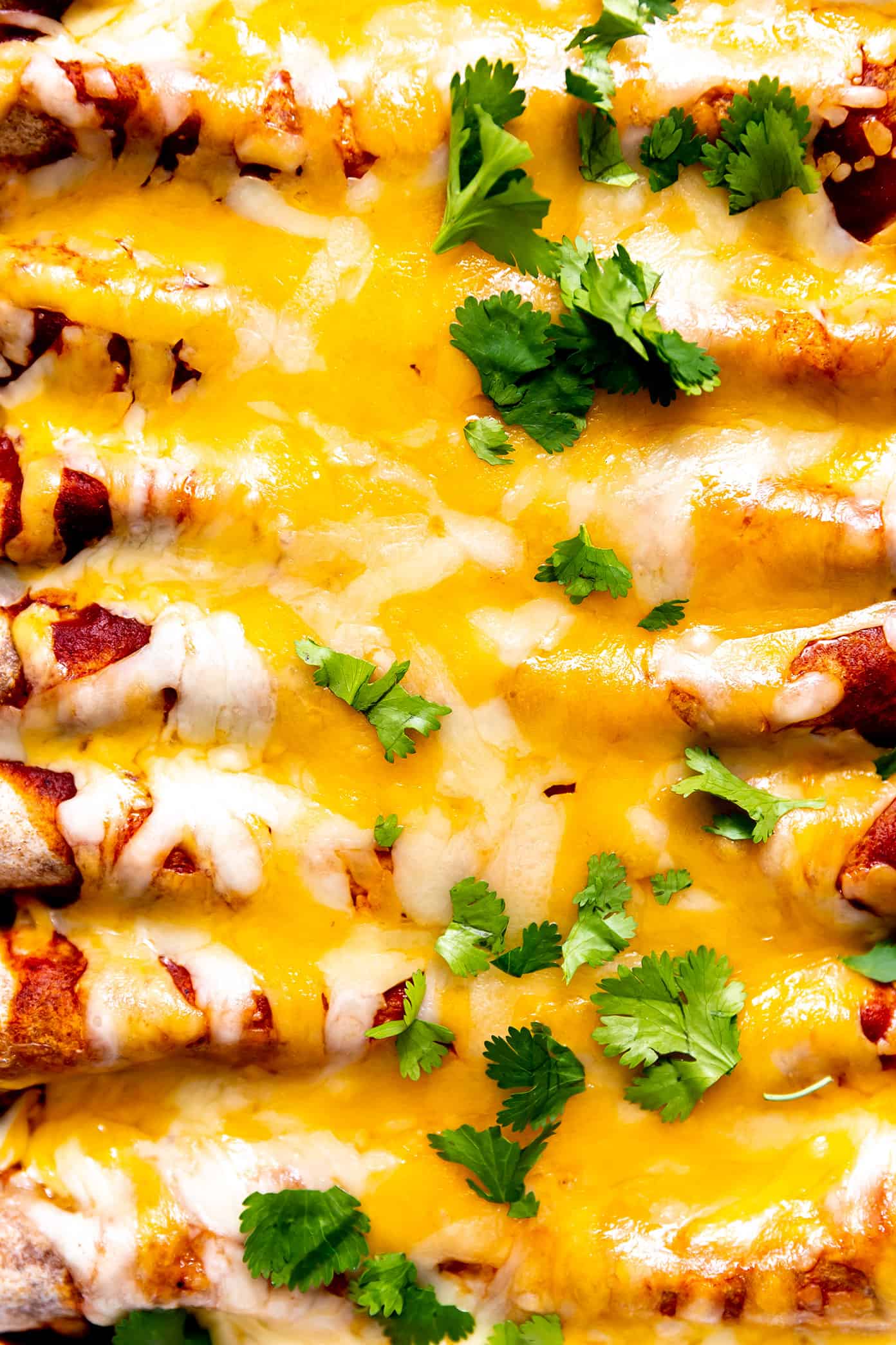 Closeup de Enchiladas Vegetarianas