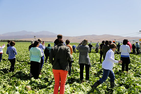 'Taste of Spain' Dole Salad Summit | gimmesomeoven.com