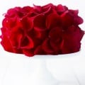 Rose Cake Recipe - made with fresh (edible!) roses | gimmesomeoven.com