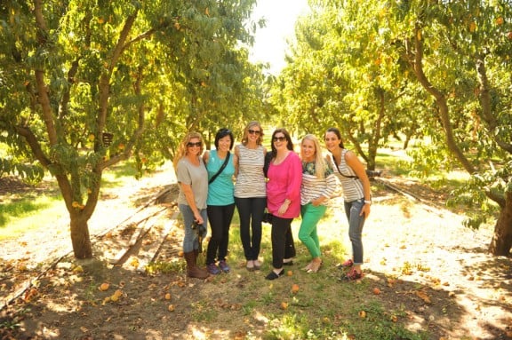 Del Monte Harvest Tour | gimmesomeoven.com