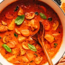Tomato Basil Chicken Stew