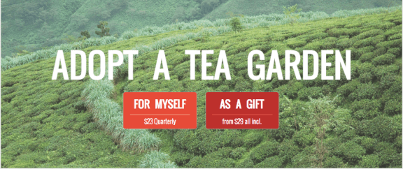 NUDO Adopt A Tea Garden GIVEAWAY | gimmesomeoven.com #giveaway #holiday