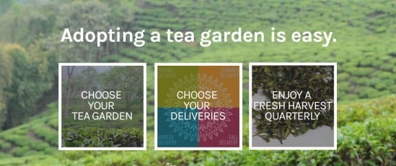 NUDO Adopt A Tea Garden GIVEAWAY | gimmesomeoven.com #giveaway #holiday