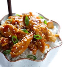 Slow Cooker Teriyaki Chicken