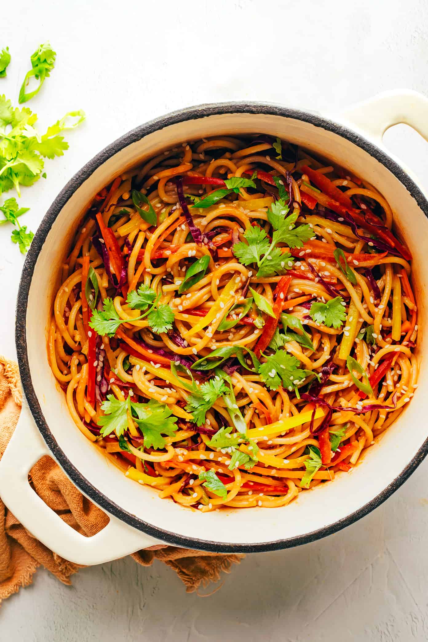 Rainbow Peanut Noodles with Cilantro