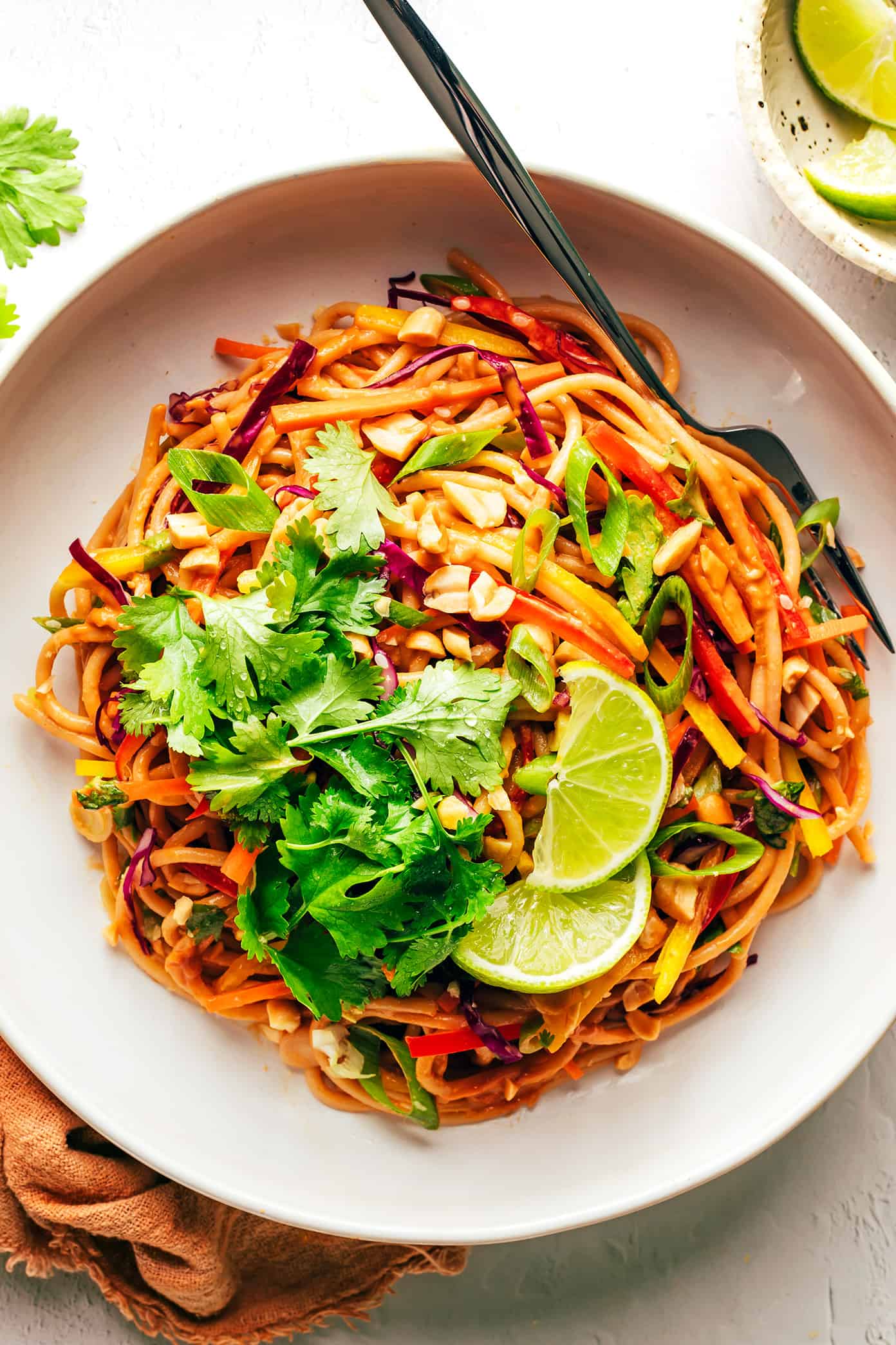 Bowl of rainbow peanut noodles with lime, cilantro and peanuts