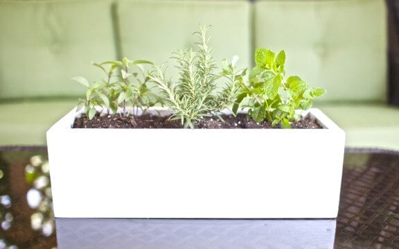 DIY Herb Planter | www.gimmesomeoven.com/style