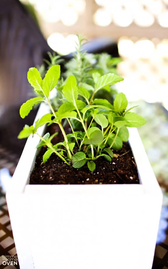 DIY Herb Planter -- easy to make with just a few simple materials! | gimmesomeoven.com/style #diy #garden