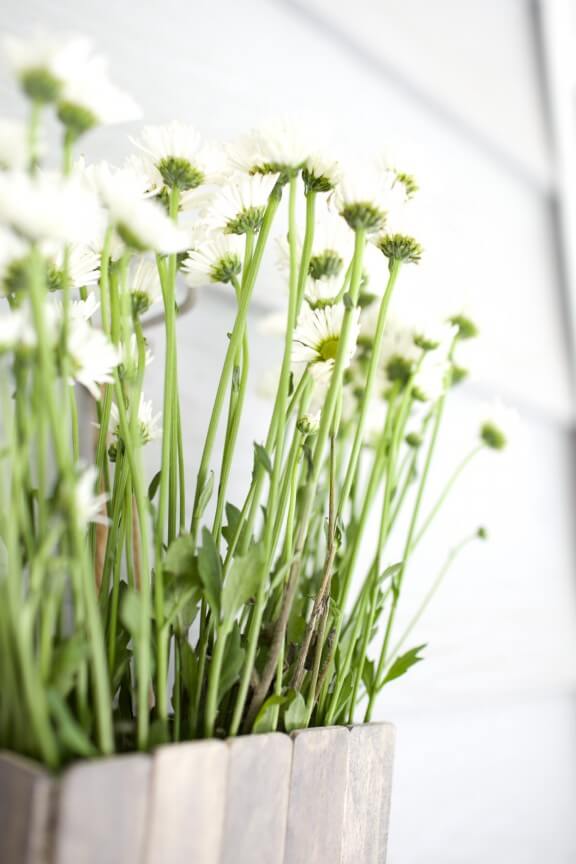 DIY Hanging Flower Box | www.gimmesomeoven.com/style