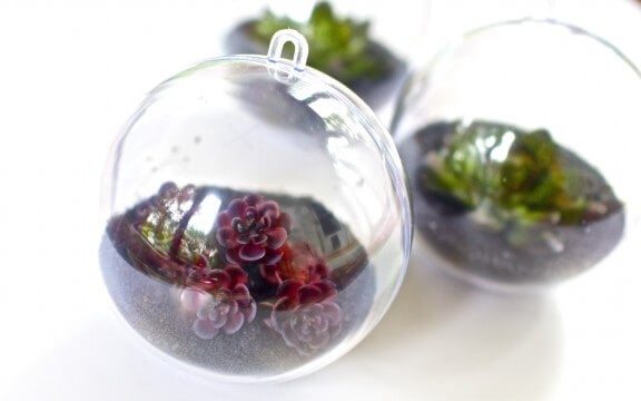 DIY Terrarium Mobile | Gimme Some Oven