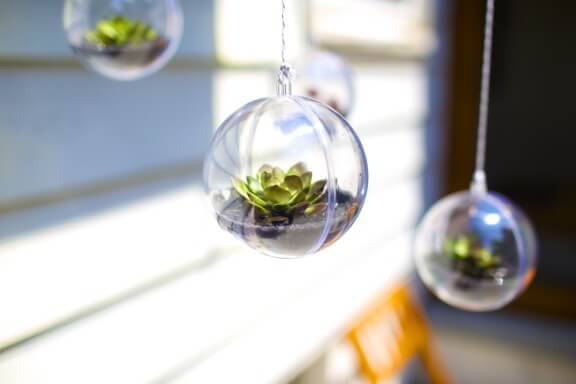 DIY Terrarium Mobile | Gimme Some Oven