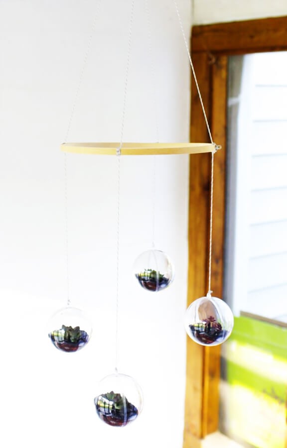 terrarium mobile