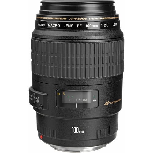 My Camera Lenses | gimmesomeoven.com #photography #canon