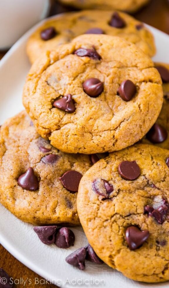 pumpkin chocolate chip cookies | sallysbakingaddiction.com