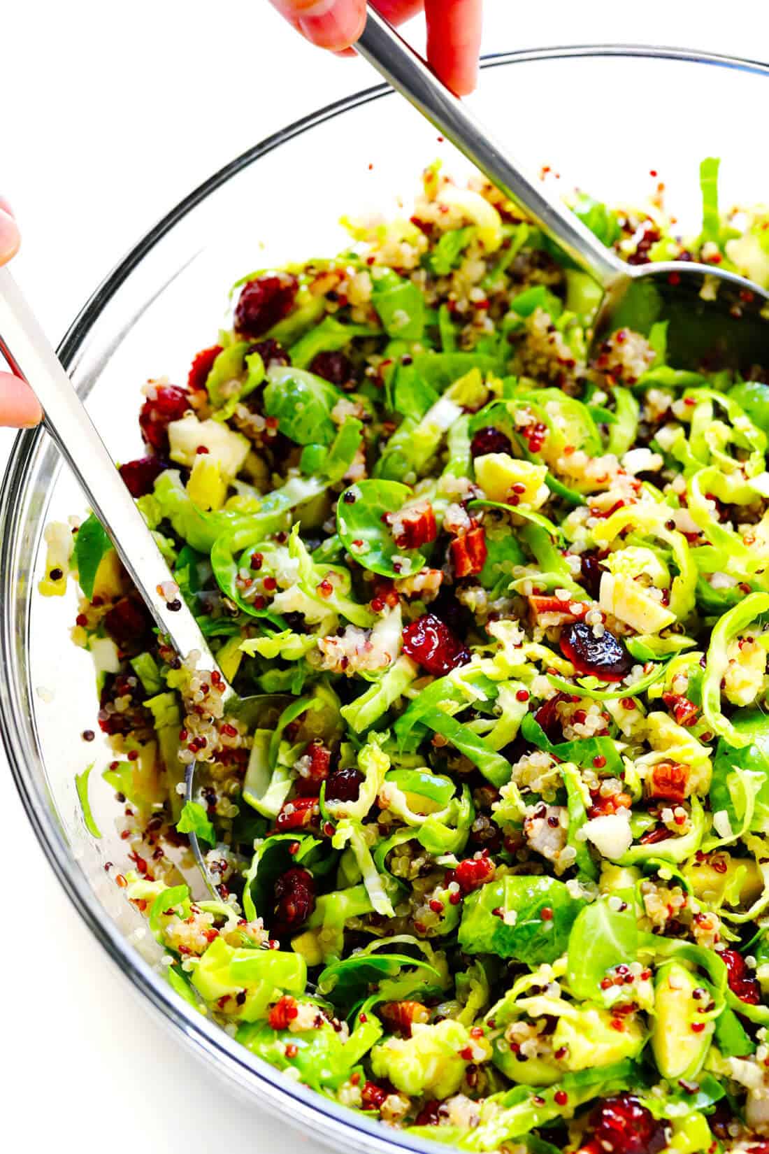 Brussels Sprouts, Cranberry and Quinoa Salad
