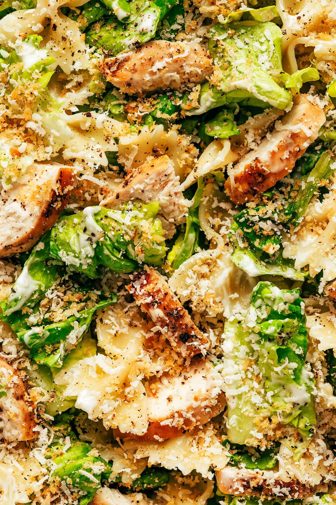Chicken caesar pasta salad closeup