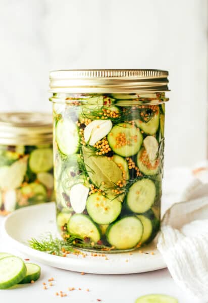 My Best All-Round Jerky Marinade Recipe - Preserve & Pickle