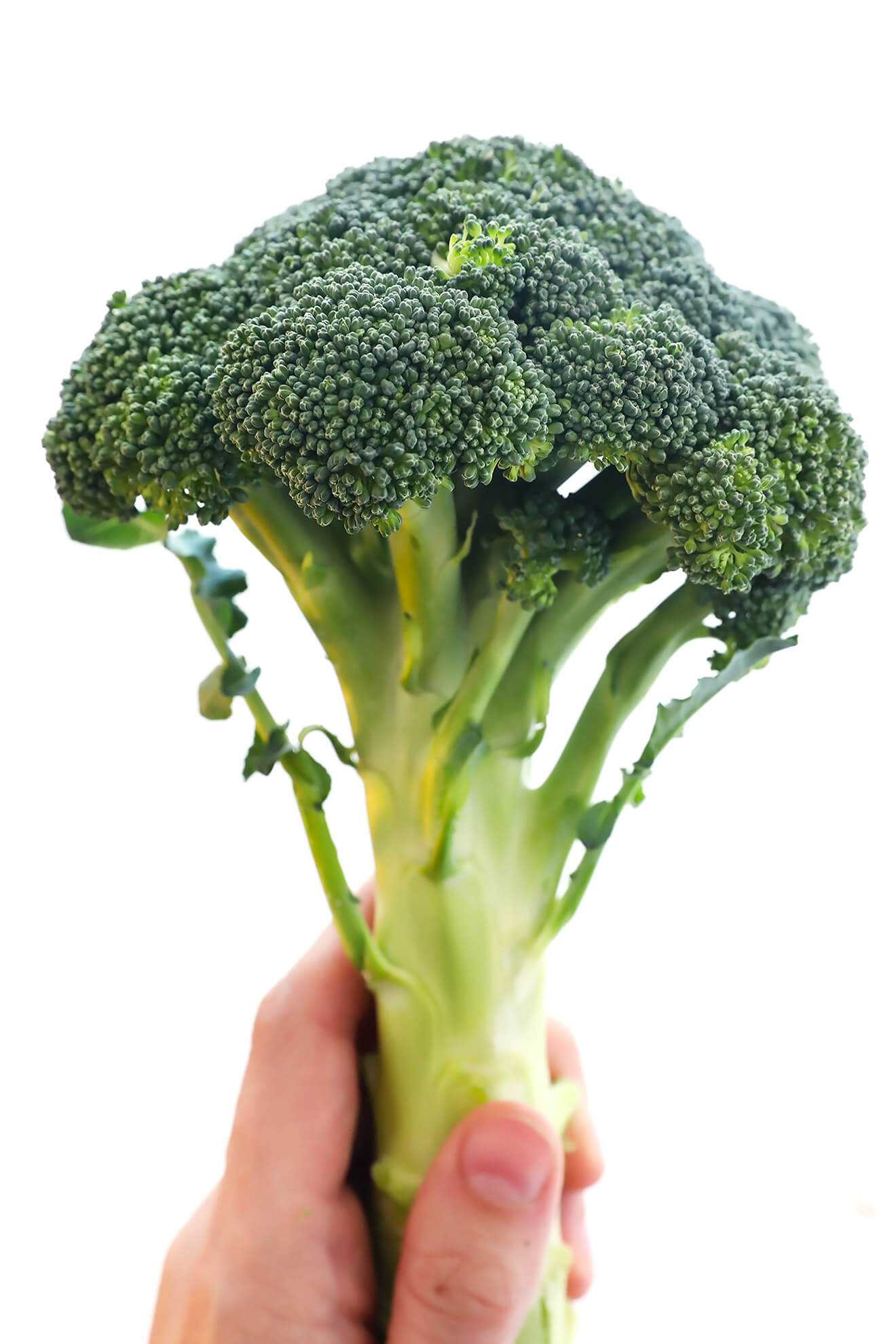 Broccoli deals