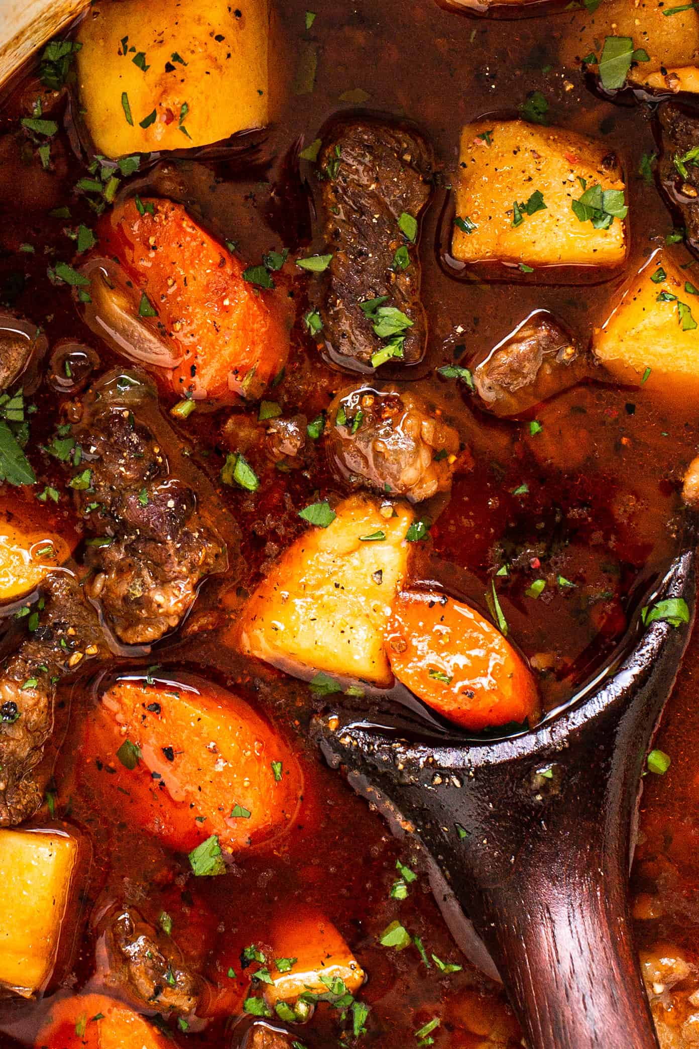 Guinness Beef Stew Closeup