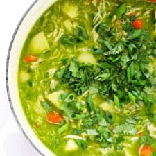 Aguadito De Pollo (Peruvian Chicken and Rice Soup)