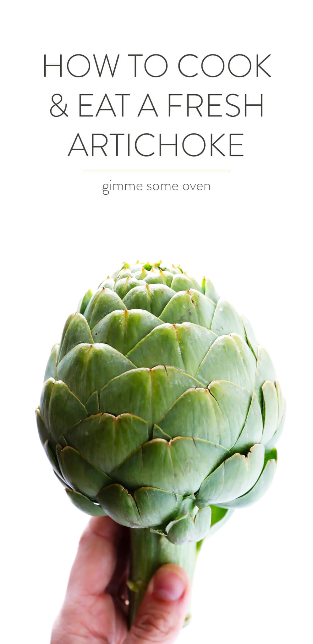 How To Cook and Eat A Fresh Artichoke