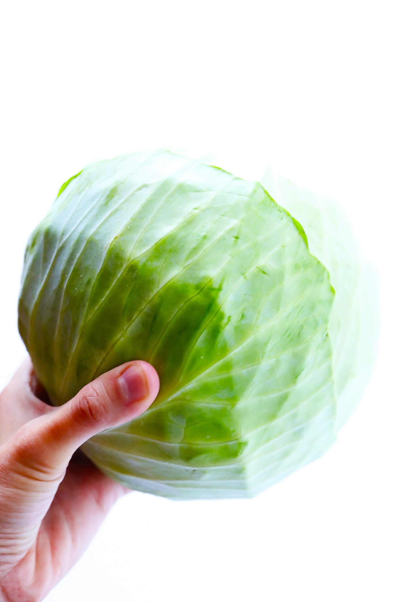 Green Cabbage for Spicy Vegetarian Cabbage Soup