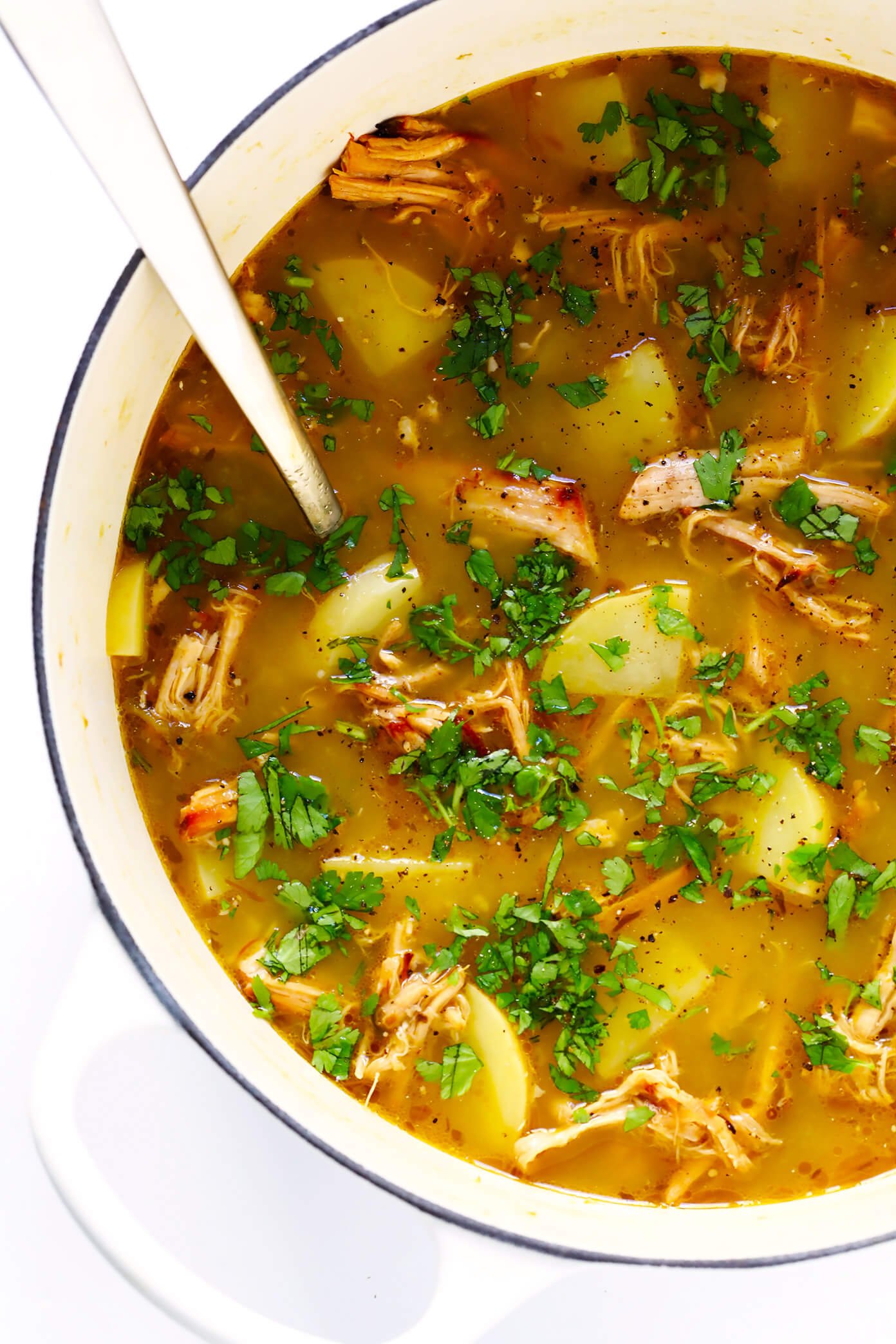 5 Ingredient Carnitas Soup Gimme Some Oven
