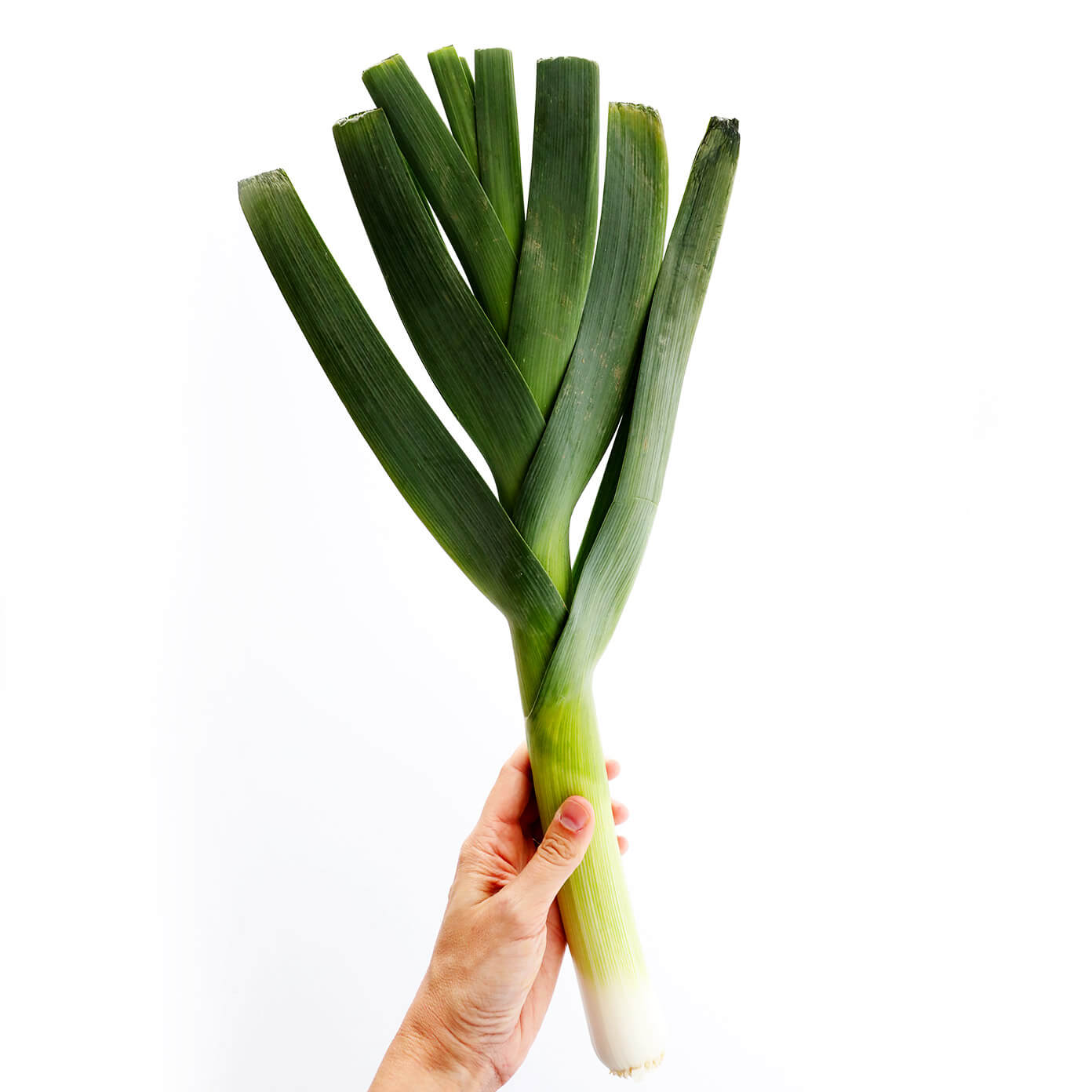 Sirfetch'd Loves Britain's Big Leeks: 7 Cool Facts We Learned From