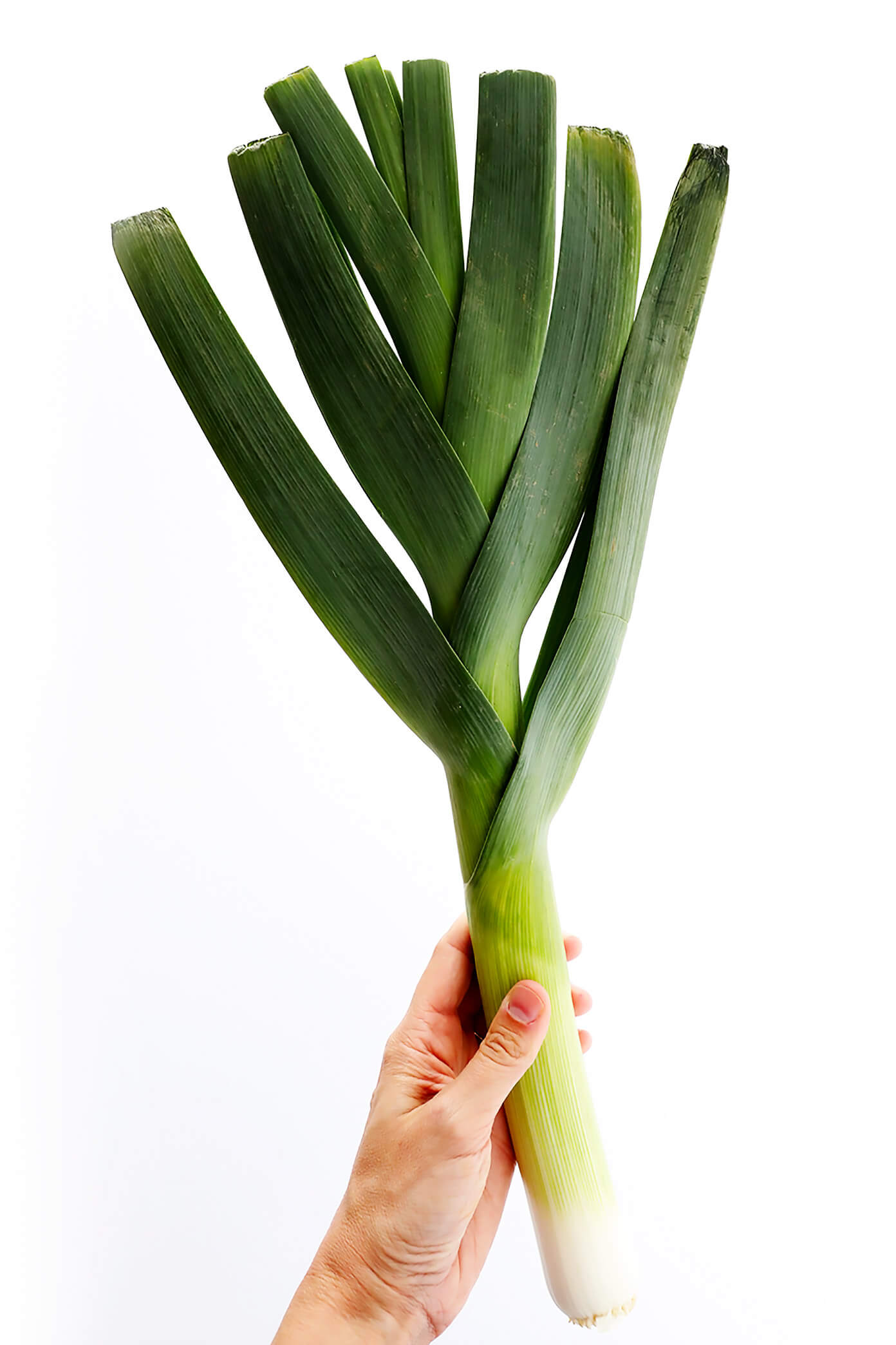 How-To-Cut-Leeks-Tutorial-2.jpg