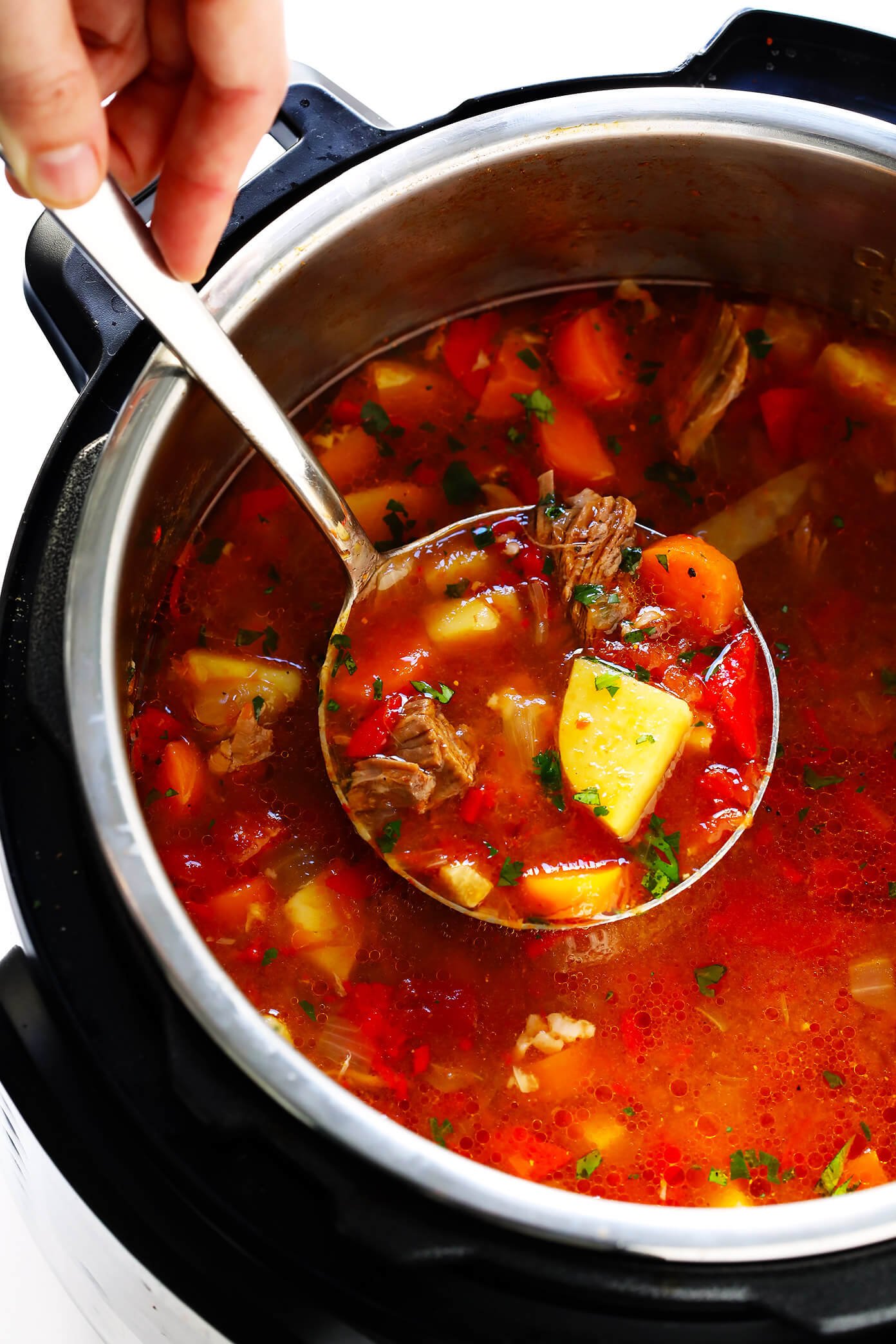 Mexican Vegetable Beef Soup - Gimme Some Oven