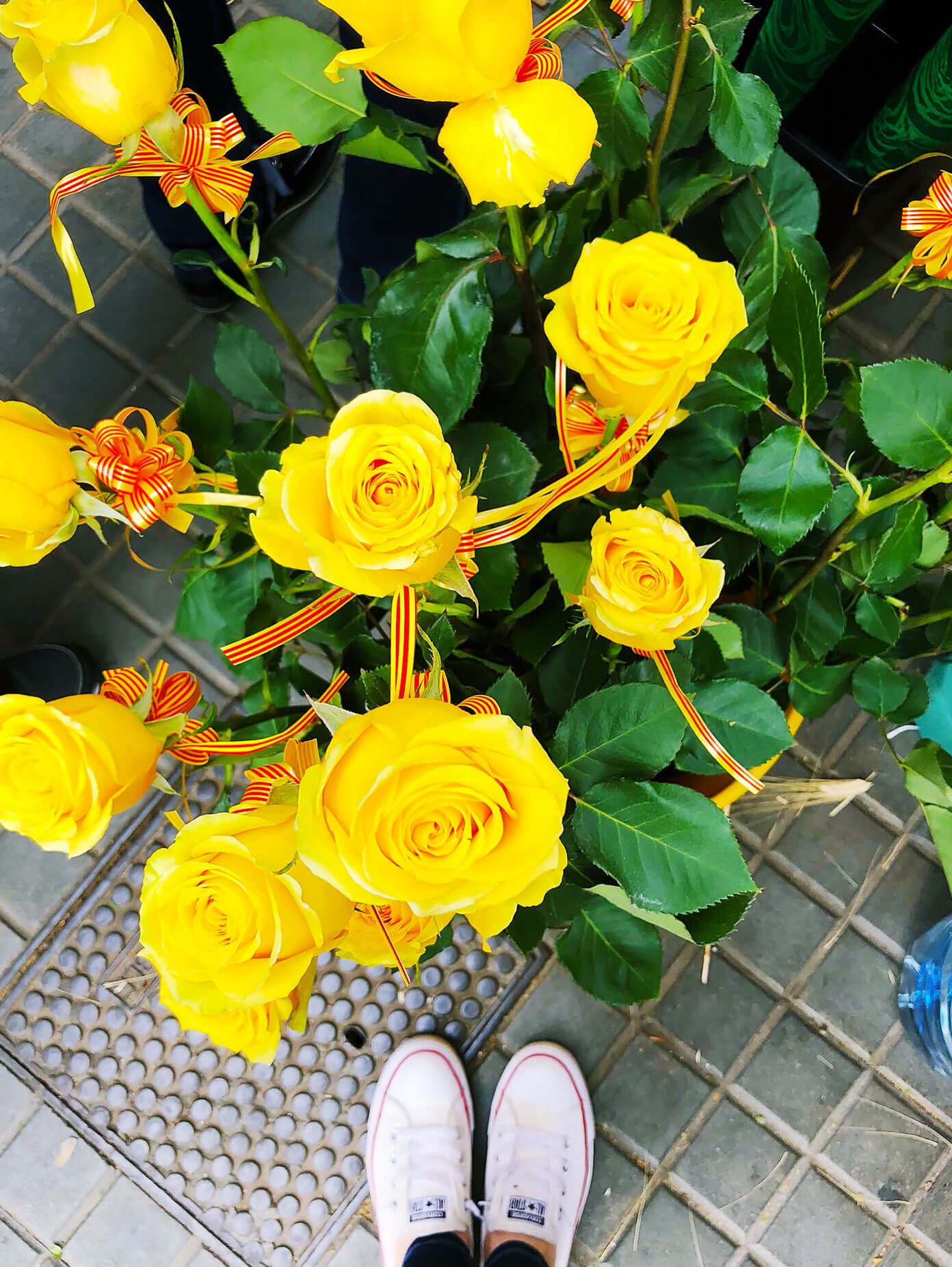 Sant Jordi Roses In Barcelona