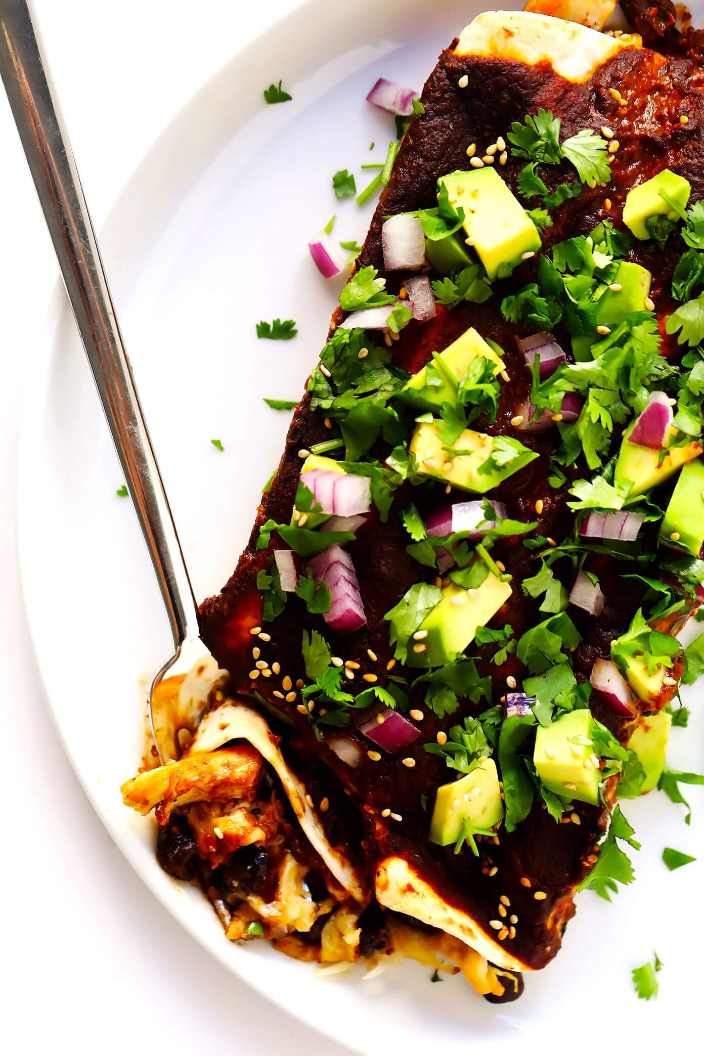 Avocado Mole Enchiladas | Filled with chicken, pork, or your choice of vegetarian fillings