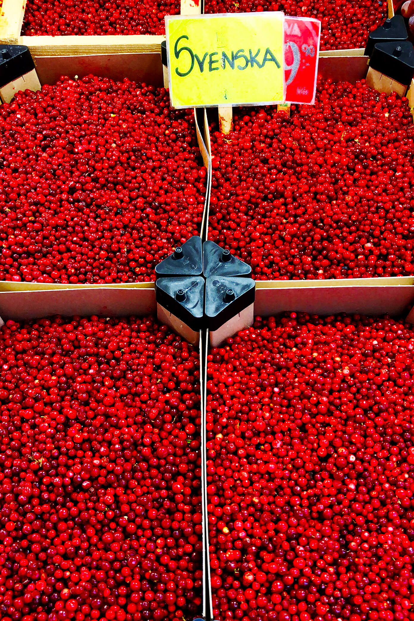 Lingonberries in Stockholm, Sweden