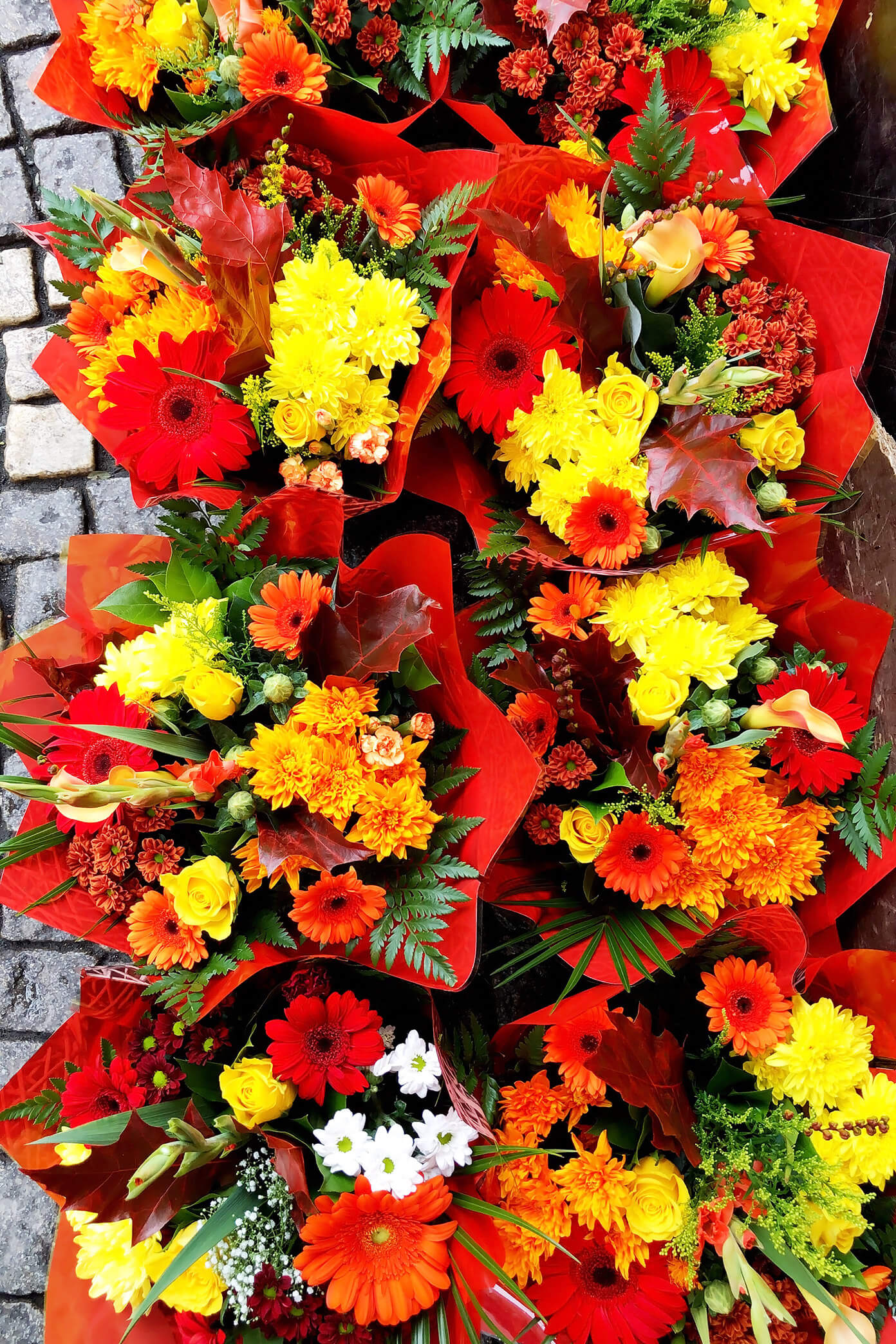 Flowers in an Outdoor Market, Stockholm, Sweden