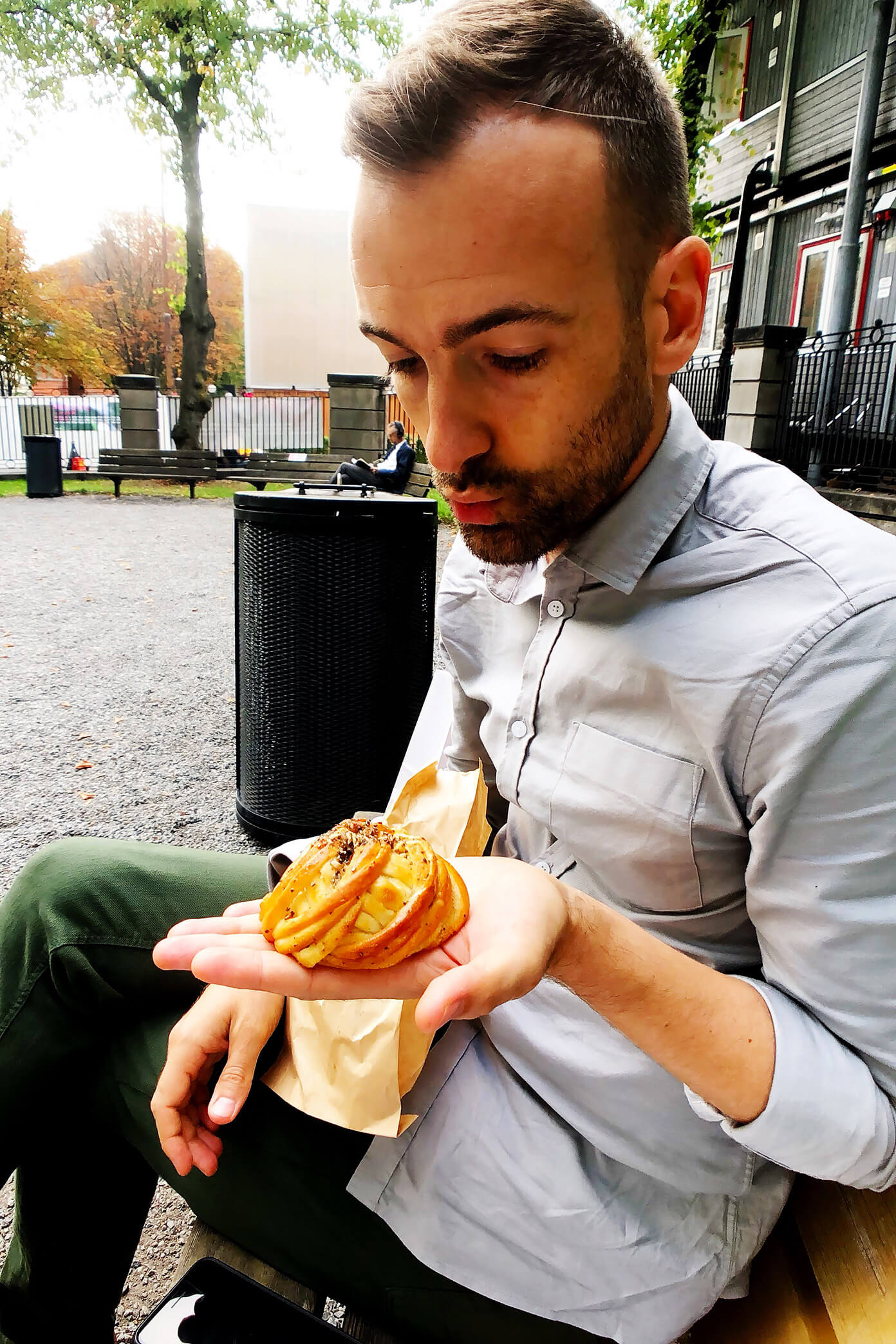 Cardamom bun in the park in Stockholm, Sweden