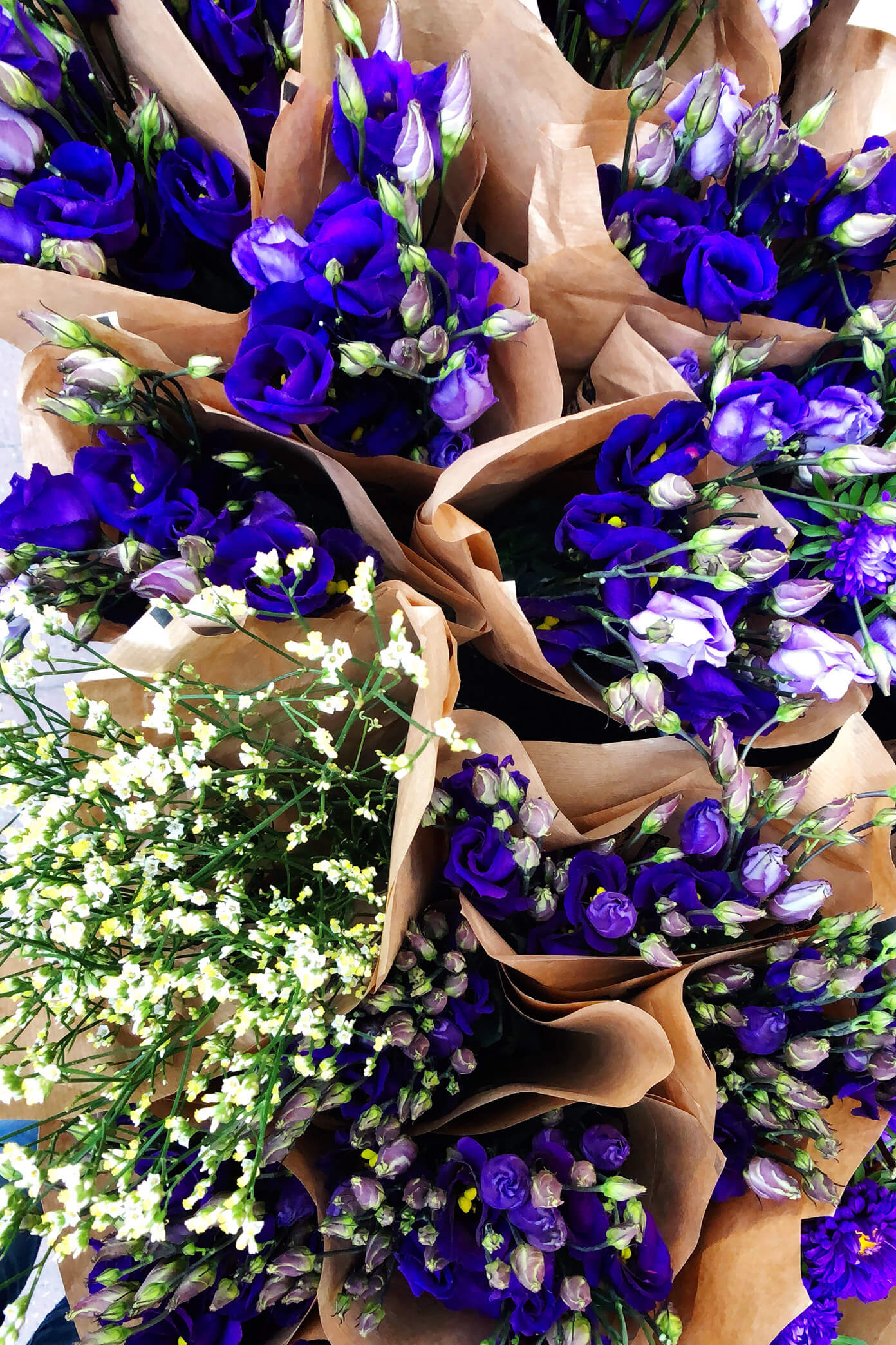 Flower Market in Stockholm, Sweden