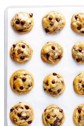 The BEST Chocolate Chip Cookies